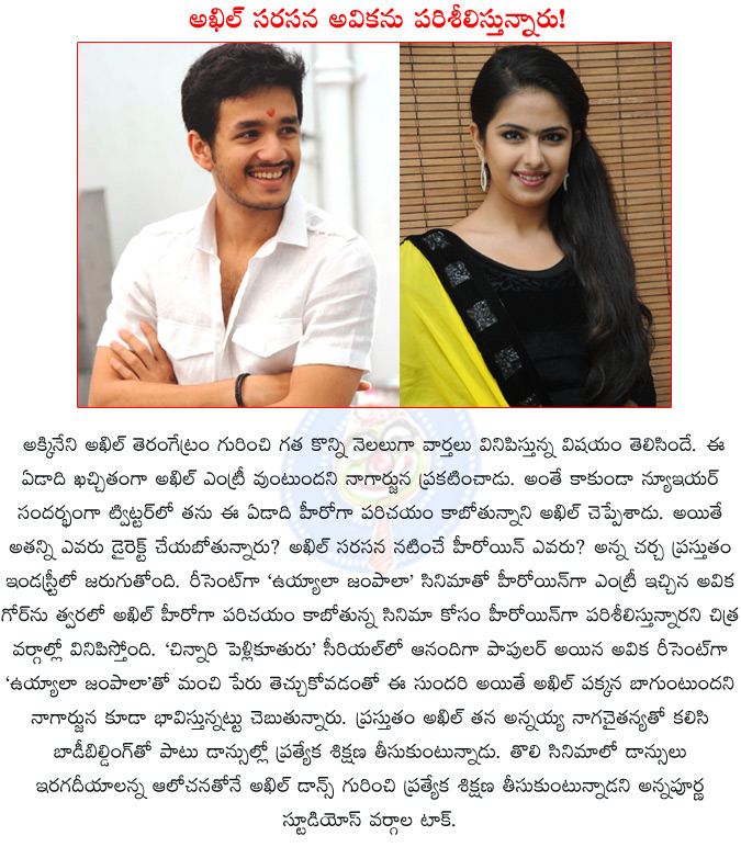 akhil akkineni,akhil akkineni debut flick,akkineni nagarjuna,annapurna studio,avika gor,uyyala jampala,chinnari pellikuthuru,anandi,akhil akkineni to debut on screen in 2014,akkinani manam,  akhil akkineni, akhil akkineni debut flick, akkineni nagarjuna, annapurna studio, avika gor, uyyala jampala, chinnari pellikuthuru, anandi, akhil akkineni to debut on screen in 2014, akkinani manam, 